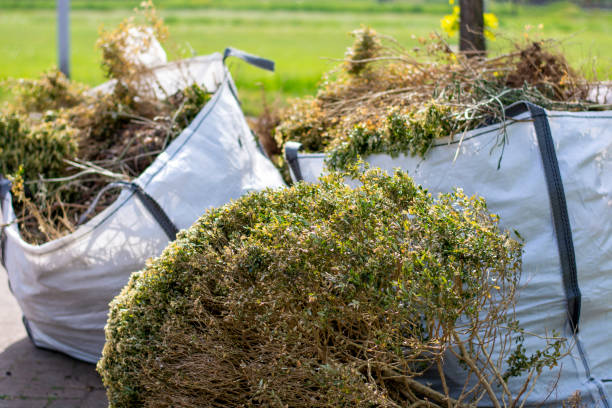 Trash Removal Near Me in Lakeside, FL